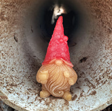 Load image into Gallery viewer, Gnome Skateboarding Wax