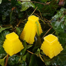 Load image into Gallery viewer, Ledges of the Hidden Temple Limited Edition Set