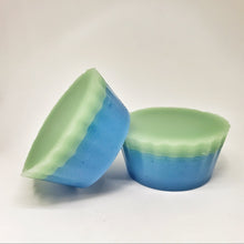 Load image into Gallery viewer, Pond Scum Pucks (2 Pack)