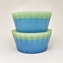 Load image into Gallery viewer, Pond Scum Pucks (2 Pack)