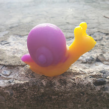 Load image into Gallery viewer, Squalor Snail Limited Edition Set